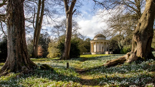 A carpet of white snowdrops in the foreground with tall trees framing a view of a small, round folly set in woodland